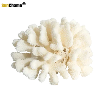 Valge Korall Conch Shell Lill Akvaariumi Dekoratsioon Aken Mere Tigu Kujukeste Miniatuuri Vahemere Kaunistused Isendite